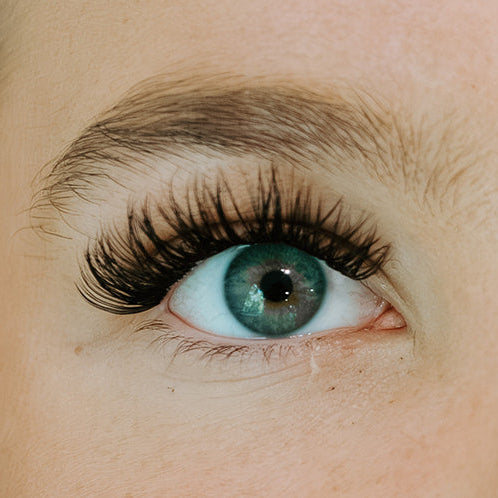 Lash Cluster Extension Pack (Blessed)