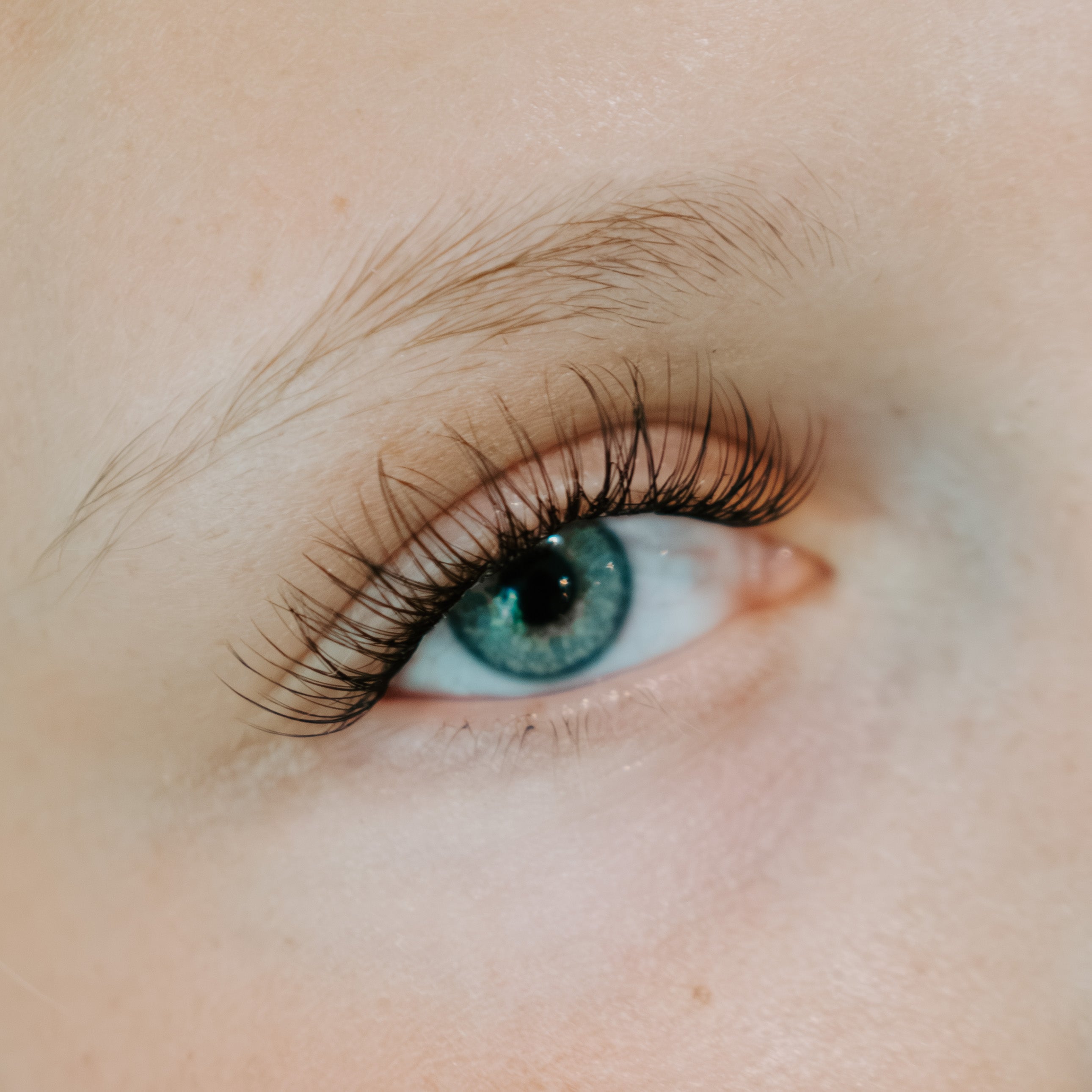 Lash Cluster Extension Pack (Off Duty)