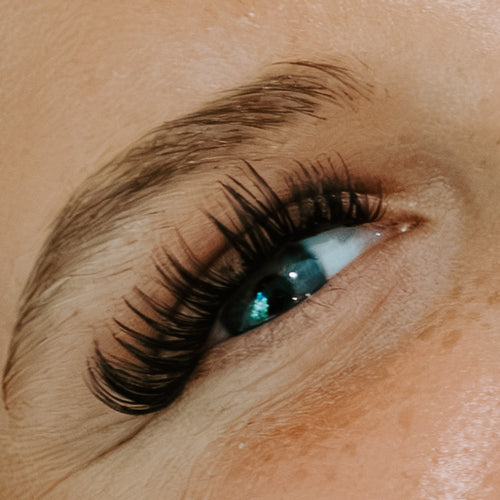 Lash Cluster Extension Kit DIY (Angel)