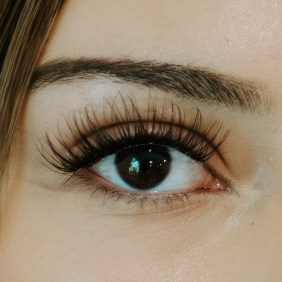 Lash Cluster Extension Pack (Off Duty)